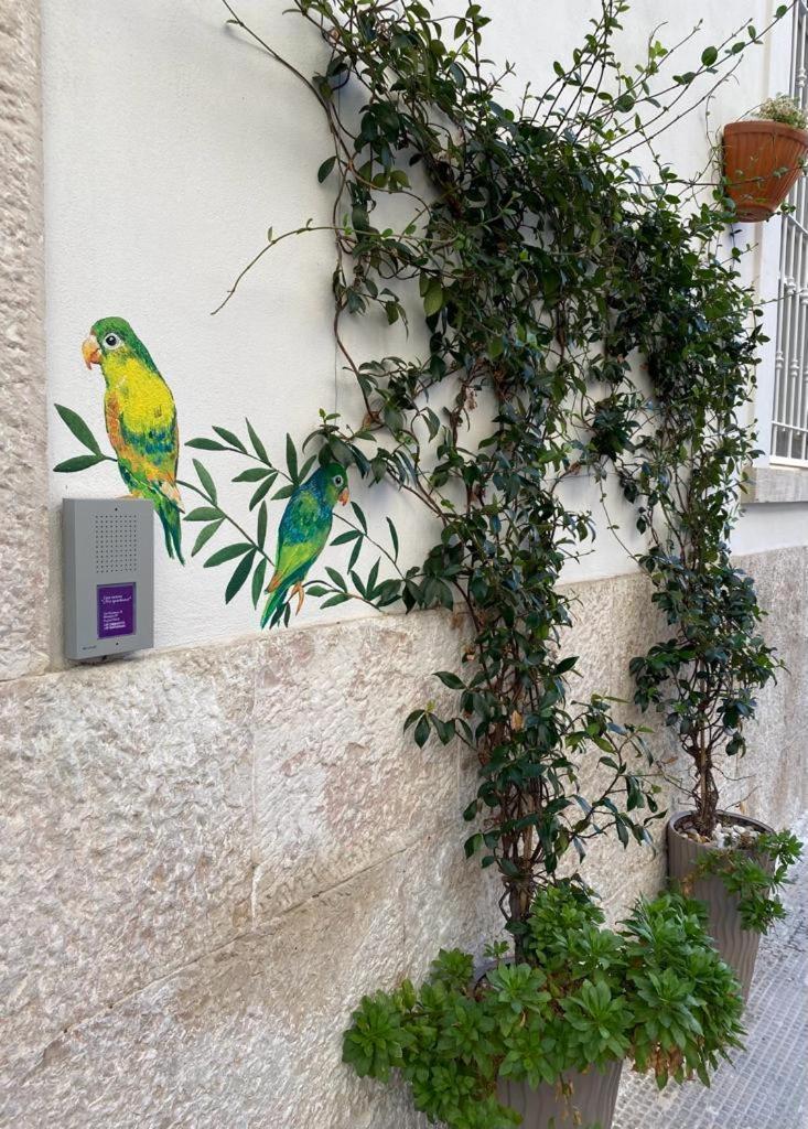 Iris Apartment, Comfort E Stile Nel Cuore Di Bisceglie Exterior photo